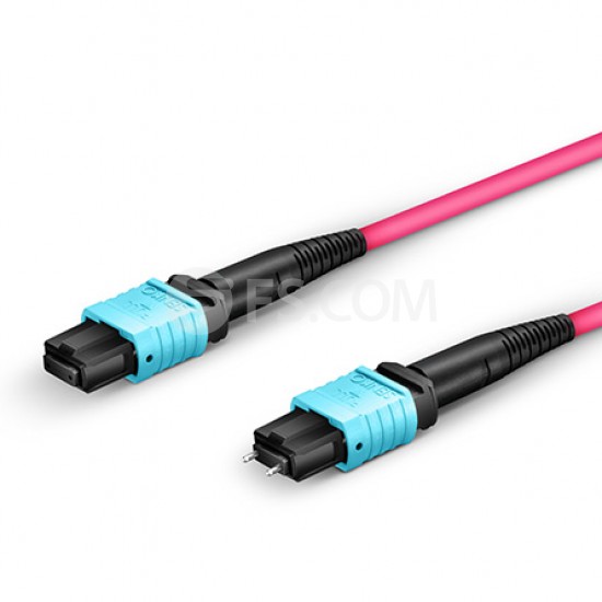 Customized 8-144 Fibers Senko MPO 1