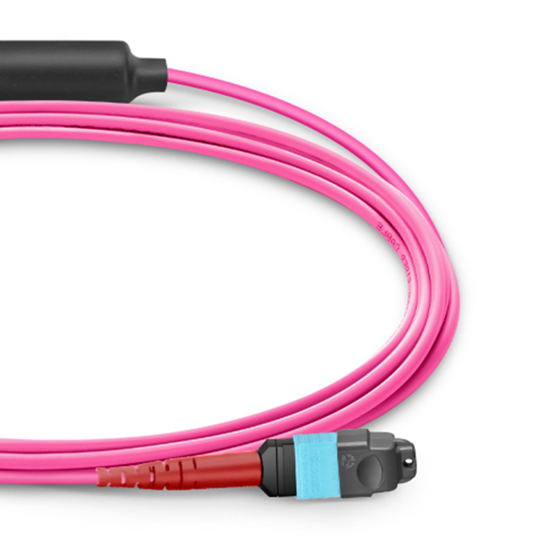 Customized MTP 24 Fibers 1