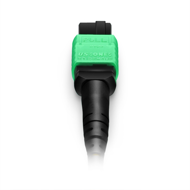 MTP-16 APC (Female) to MTP-16 APC (Female) 1